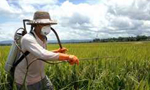 Agrochemical